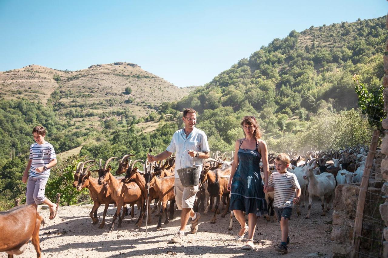 La Ferme Des Cevennes Hotell Florac Eksteriør bilde