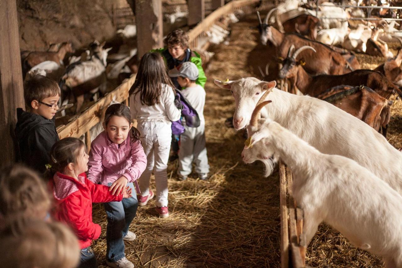 La Ferme Des Cevennes Hotell Florac Eksteriør bilde