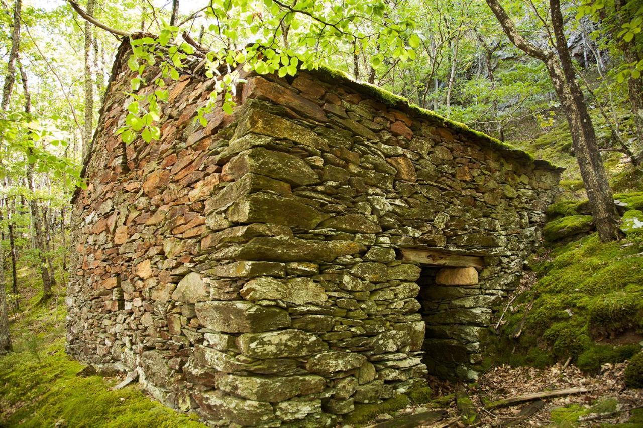 La Ferme Des Cevennes Hotell Florac Eksteriør bilde